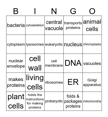 Cell Structures Bingo Card