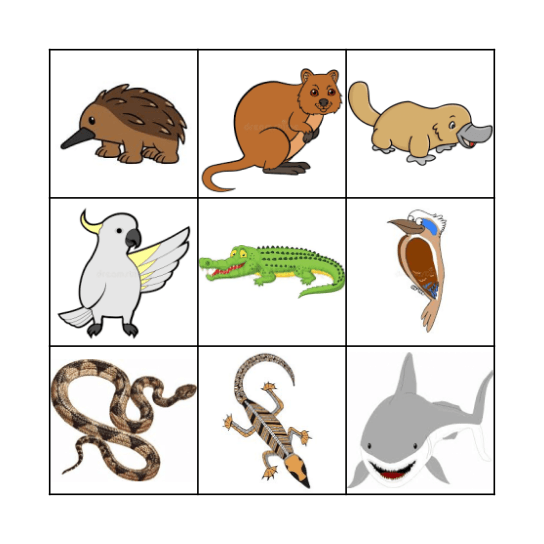 Australian Animal Bingo Card