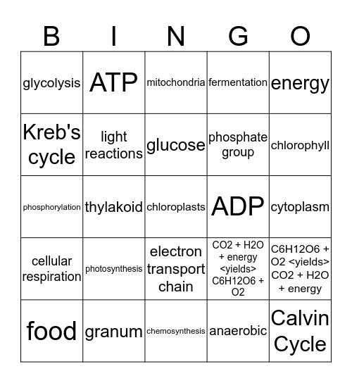 Photosynthesis & Cellular Respiration Bingo Card