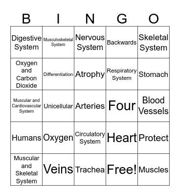 HUMAN BODY SYSTEMS REVIEW GAME Bingo Card