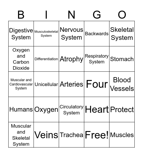 HUMAN BODY SYSTEMS REVIEW GAME Bingo Card