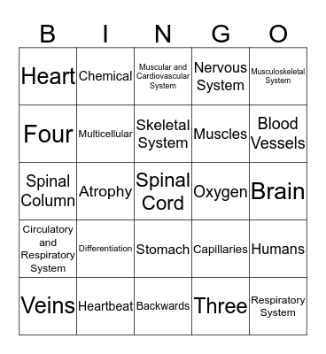 HUMAN BODY SYSTEMS REVIEW  Bingo Card