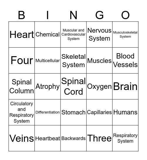 HUMAN BODY SYSTEMS REVIEW  Bingo Card