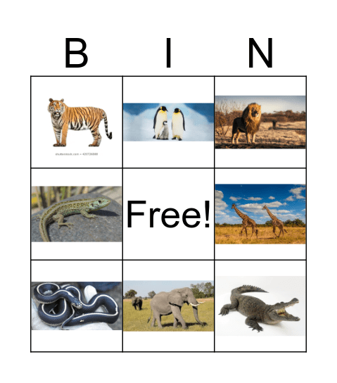 Zoo Animals Bingo Card