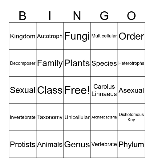 Classification Bingo Card