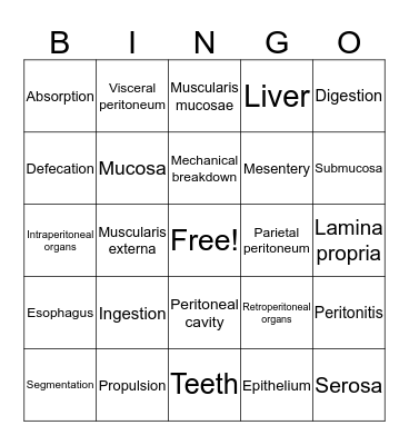Digestive System Bingo Card