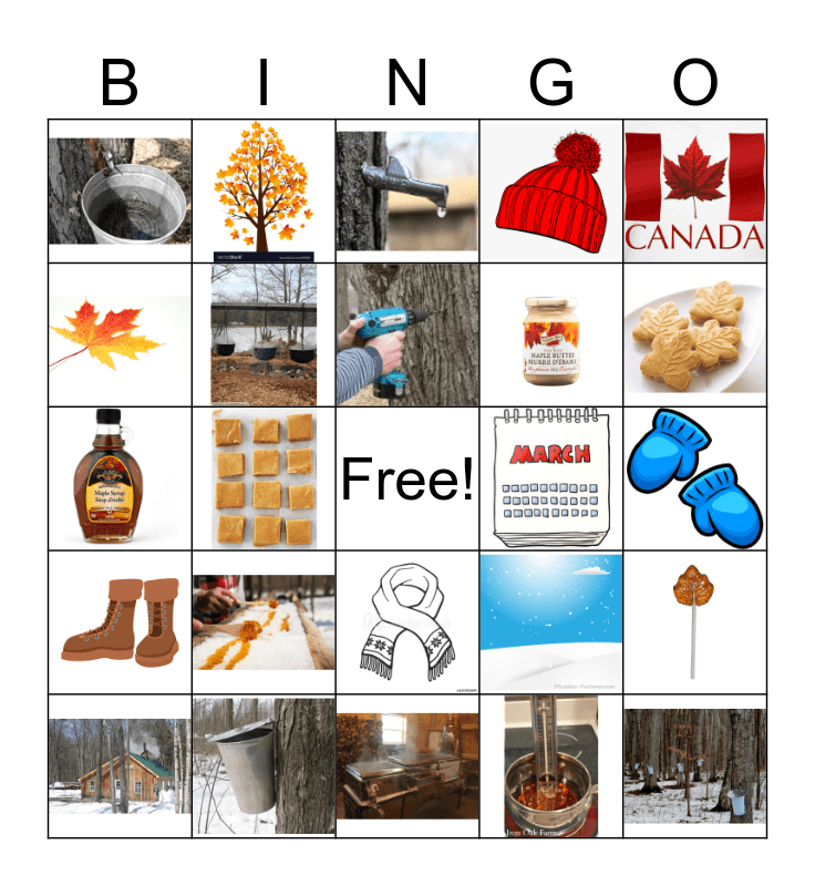 Maple Syrup Bingo Card