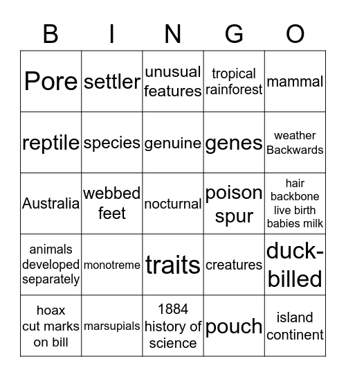 The Peculiar Platypus Bingo Card