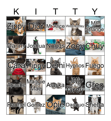 CAT BINGO Card