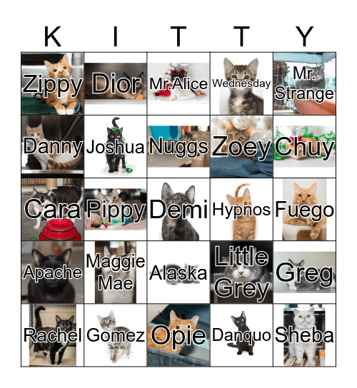 CAT BINGO Card