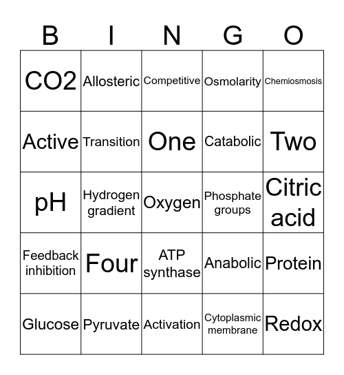 Enzymes and Aerobic Respiration  Bingo Card