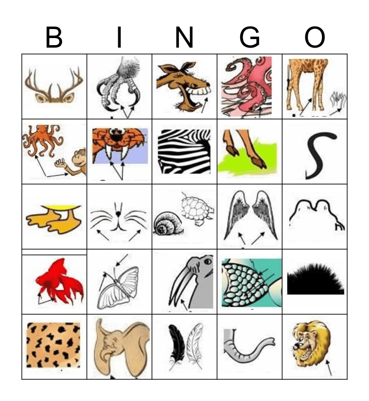 Animals Body Parts Bingo Card