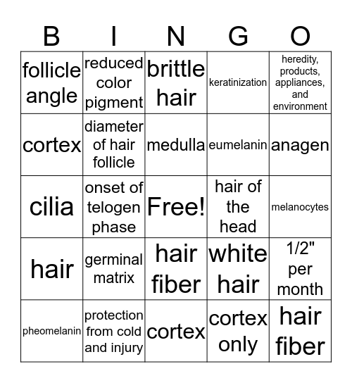 HAIR THEORY Bingo Card