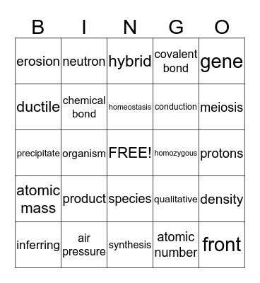 Vocabulary Words Bingo Card