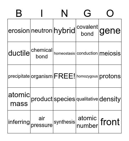 Vocabulary Words Bingo Card