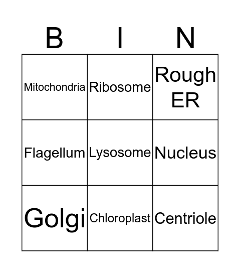 Organelles Bingo Card