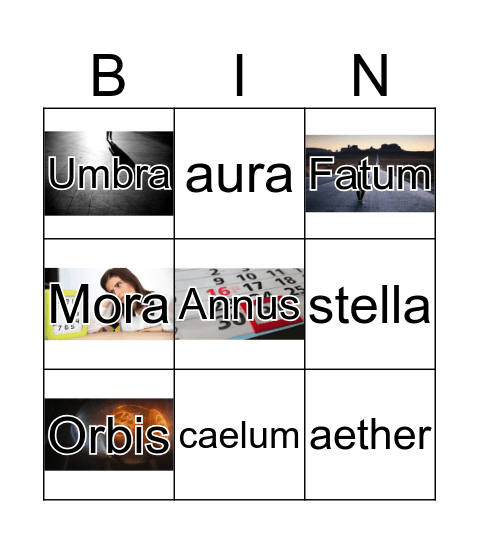 Vocabulario latín Bingo Card