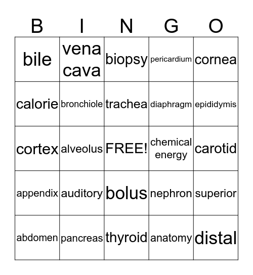 Medical Bingo Card