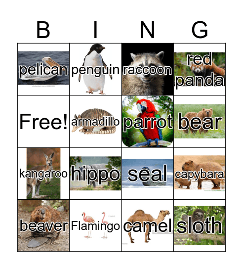 Zoo Animals Bingo Card