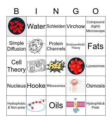 Sight Words Bingo Card