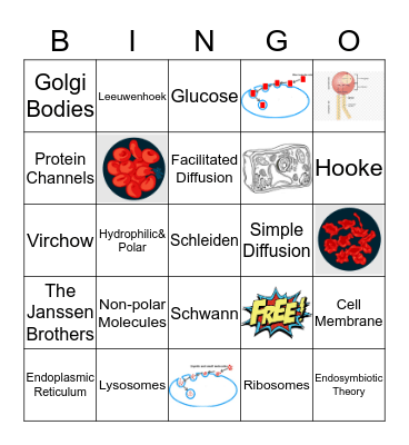 Sight Words Bingo Card