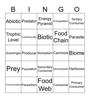 Ecosystem Bingo Card