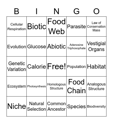 8th Grade Science Bingo Card
