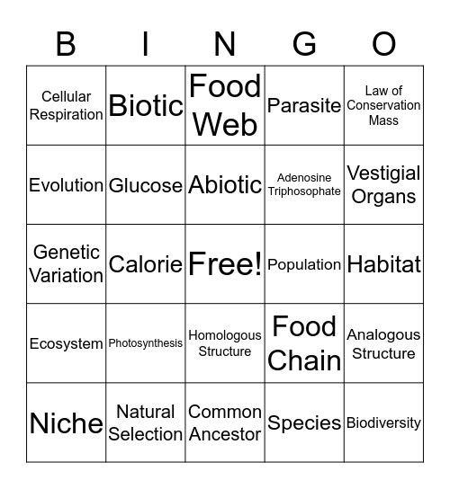 8th Grade Science Bingo Card