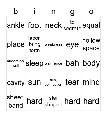 lesson 7 Bingo Card