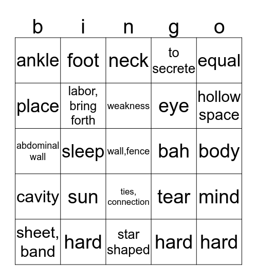 lesson 7 Bingo Card