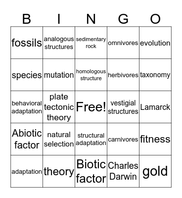 Science standards Bingo Card