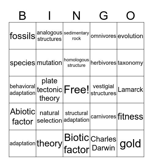 Science standards Bingo Card