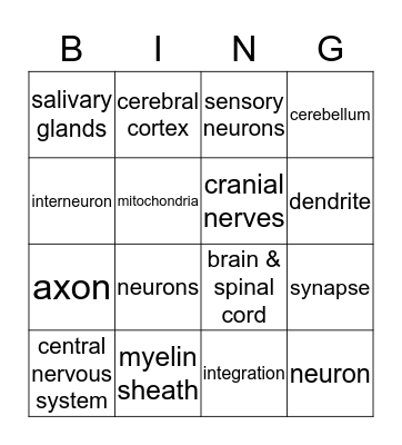 Central Highway Bingo Card
