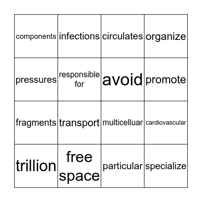 Rewards L5 Cardiovascular System Bingo Card