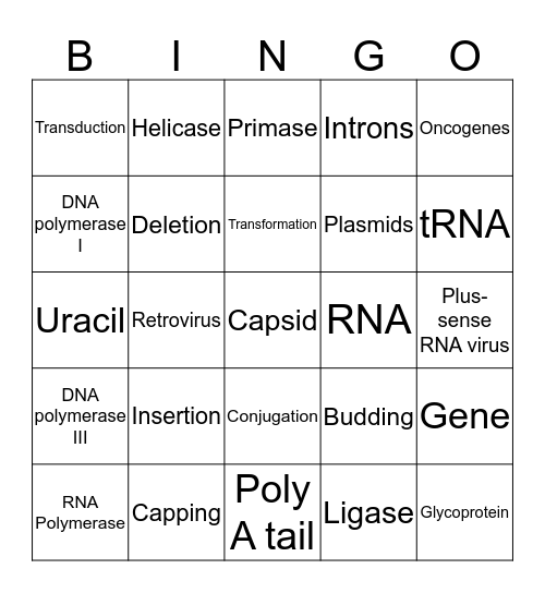 Genetics and Viruses Bingo Card