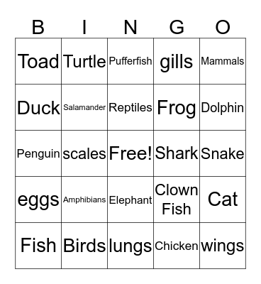 Animal Classification Bingo Card
