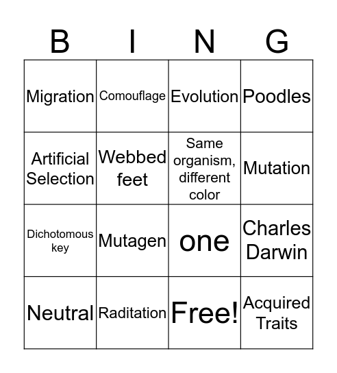 COT Bingo Card