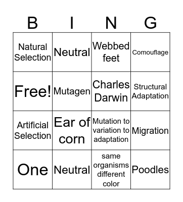 COT Bingo Card