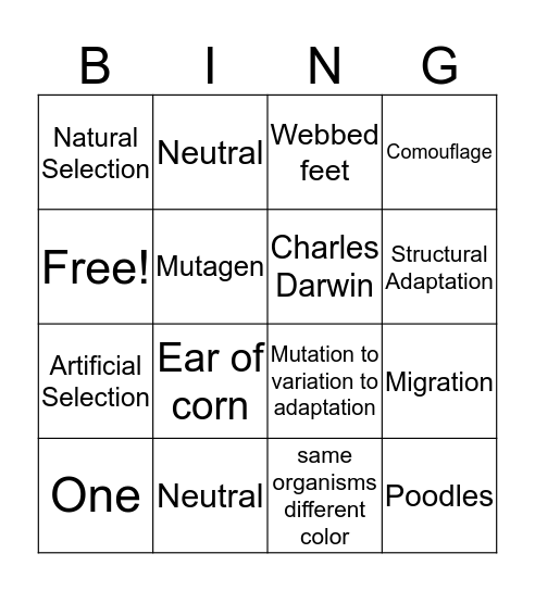 COT Bingo Card