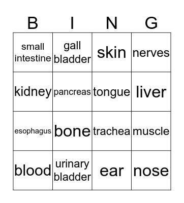 Human Bingo Card