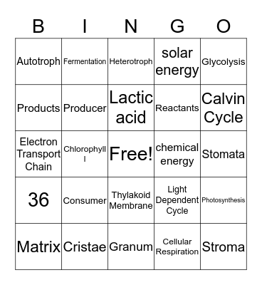 Energy Bingo Card