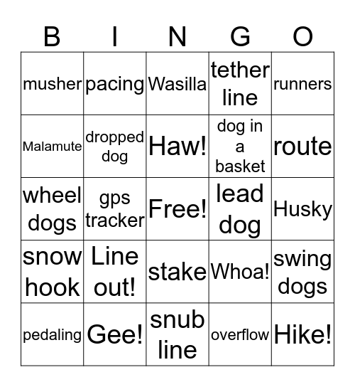 Iditarod Bingo Card