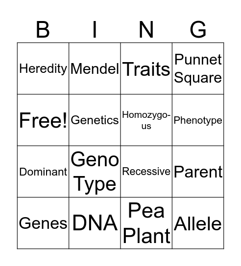 COOL DUDE Bingo Card