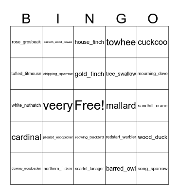 Camp T Bird Bingo Card