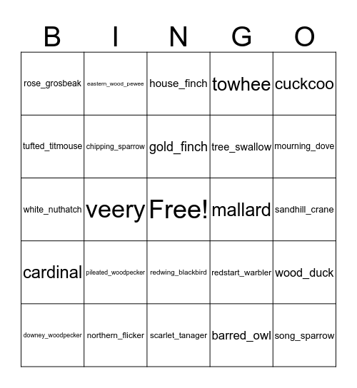 Camp T Bird Bingo Card