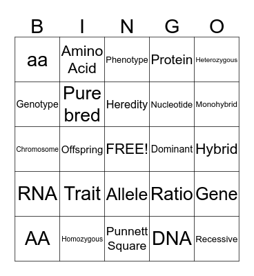 Genetics Vocabulary  Bingo Card