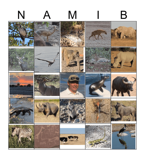 Namibian Wildlife and other strange Sites Bingo Card