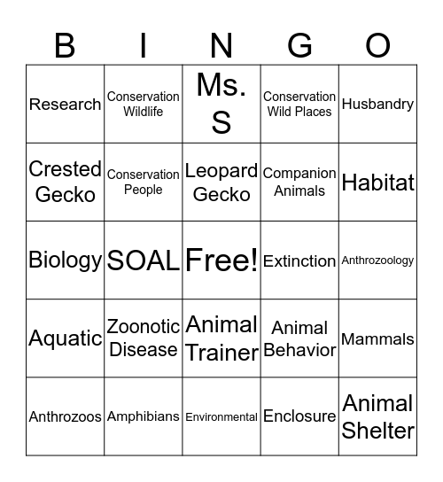 SOAL Bingo Card