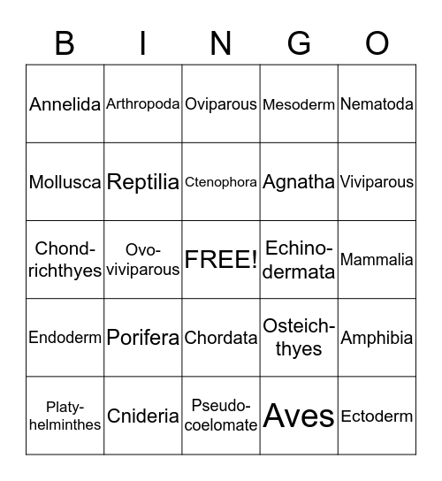 Zoology Final Exam Review Bingo Card
