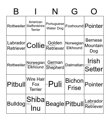 PUPPY Bingo Card